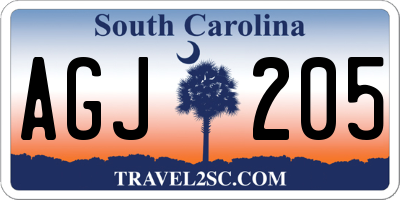 SC license plate AGJ205