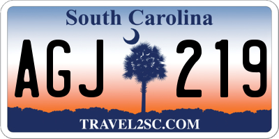SC license plate AGJ219