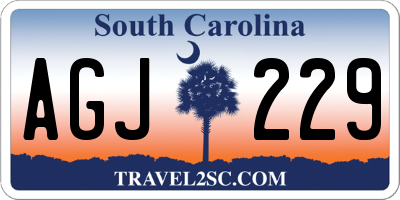 SC license plate AGJ229