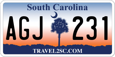 SC license plate AGJ231
