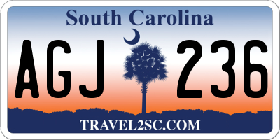 SC license plate AGJ236