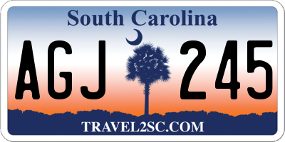SC license plate AGJ245