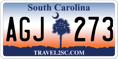 SC license plate AGJ273