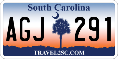 SC license plate AGJ291