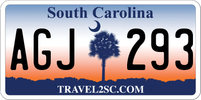 SC license plate AGJ293