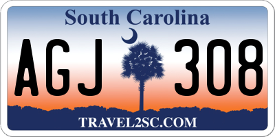 SC license plate AGJ308