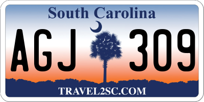 SC license plate AGJ309