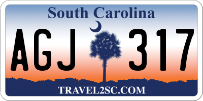 SC license plate AGJ317
