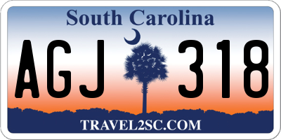 SC license plate AGJ318
