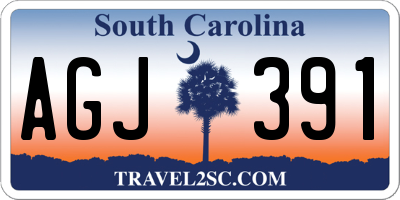 SC license plate AGJ391