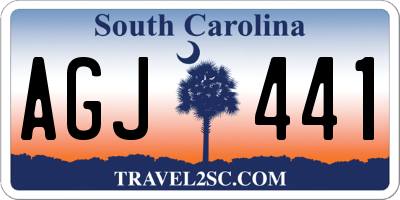 SC license plate AGJ441