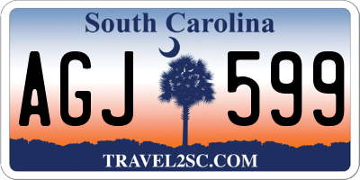 SC license plate AGJ599
