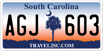 SC license plate AGJ603