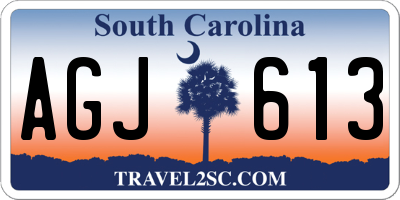 SC license plate AGJ613