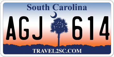 SC license plate AGJ614