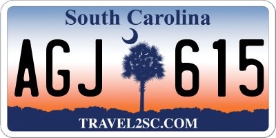 SC license plate AGJ615