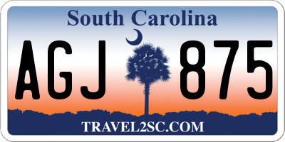 SC license plate AGJ875
