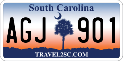 SC license plate AGJ901