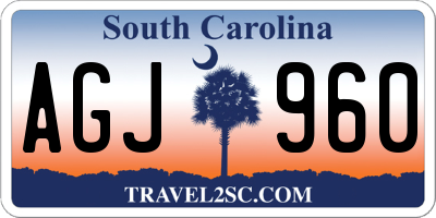 SC license plate AGJ960