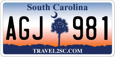SC license plate AGJ981