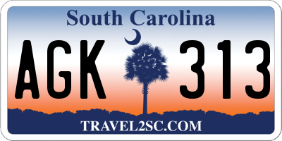 SC license plate AGK313