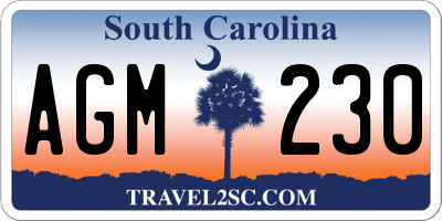 SC license plate AGM230
