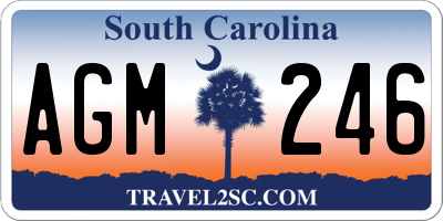 SC license plate AGM246