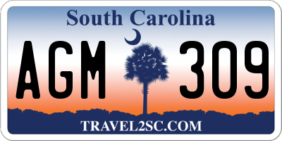 SC license plate AGM309