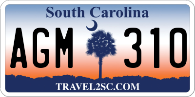 SC license plate AGM310