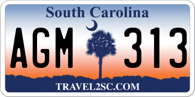 SC license plate AGM313