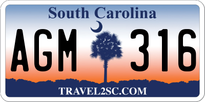 SC license plate AGM316
