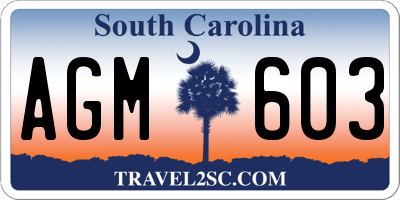 SC license plate AGM603