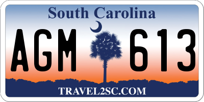 SC license plate AGM613