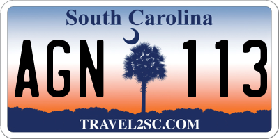 SC license plate AGN113