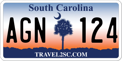 SC license plate AGN124