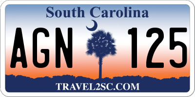 SC license plate AGN125