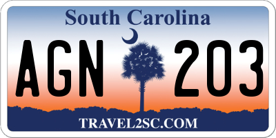 SC license plate AGN203