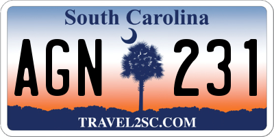 SC license plate AGN231