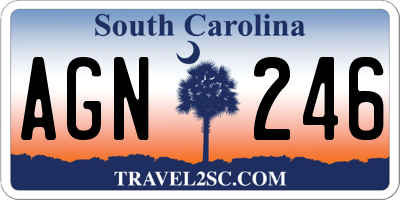 SC license plate AGN246