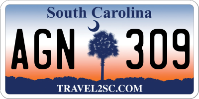 SC license plate AGN309