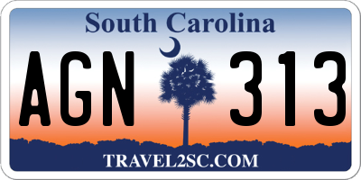 SC license plate AGN313
