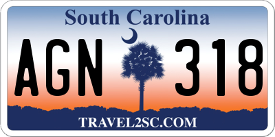 SC license plate AGN318