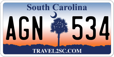 SC license plate AGN534