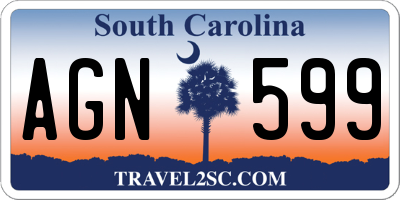 SC license plate AGN599