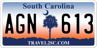 SC license plate AGN613