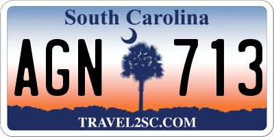 SC license plate AGN713