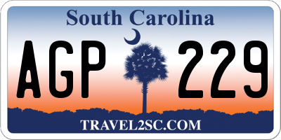 SC license plate AGP229