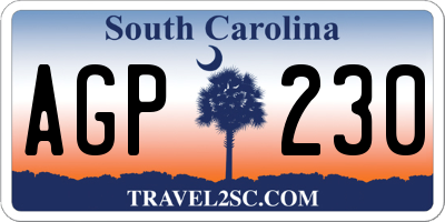 SC license plate AGP230