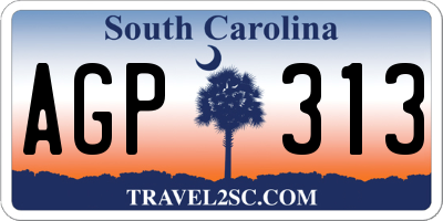 SC license plate AGP313
