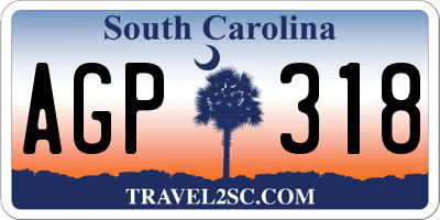 SC license plate AGP318
